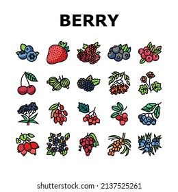 Berry Delicious And Vitamin Food Icons Set Vector. Huckleberry And Buckthorn Plant Branch, Juniper And Raspberry, Cloudberry And Cherry Berry, Juicy Gooseberry And Blueberry Color Illustrations