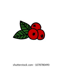 berry doodle icon