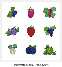 Berry, Flat Design , Isolated on White Background , Set of Fruit Icons ,  Vector Illustration