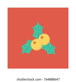berry flat icon