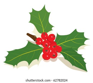 Berry Fruit