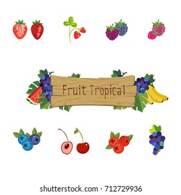 Berry and fruit background with fruity frame composed of strawberry, cherry, grape, blueberry, raspberry, blackberry, currant and bilberry fruits with leaves and grapevines