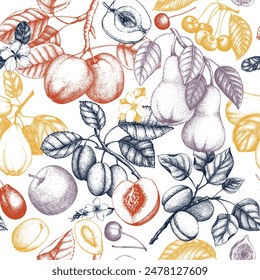 Berry and fruit background. Hand-drawn cherry, plum, peach, apricot, peach apple,sketches. Healthy food seamless pattern. NOT AI generated