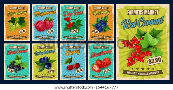 Berry and fruit branches of vector strawberry,\
cherry and blueberry, raspberry, black and red currants,\
gooseberry, bilberry and sweet briar. Farmer market retro posters\
with berries and price\
tags