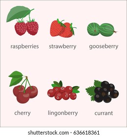 Berry fruit collection.
