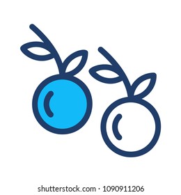 berry fruit food 
