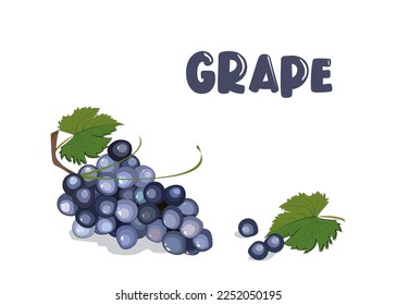 ilustración de vector de uva de frutillas de baya