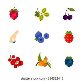 Berry Fruit Icon Set