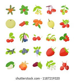 
Berry Fruit Icons Pack 
