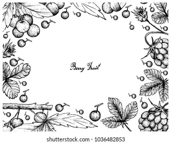 Berry Fruit, Illustration Frame of Hand Drawn Sketch of Fresh Arctic Bramble, Arctic Raspberry or Rubus Arcticus and Allophylus Edulis or Chal-Chal Fruits Isolated on White Background.