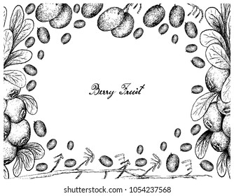 Berry Fruit, Illustration Frame of Hand Drawn Sketch of Cranberries and Blueberry Flax Lily or Dianella Caerulea Fruites Isolated on White Background. 
