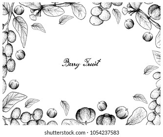 Berry Fruit, Illustration Frame of Hand Drawn Sketch of Antidesma Ghaesembilla and Barbados Cherry or Malpighia Emarginata Fruits Isolated on White Background. 