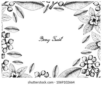 Vector Background Hand Drawn Herbs Spices Stock Vector (Royalty Free ...