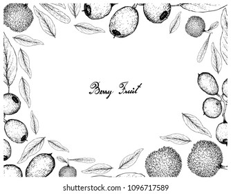 Berry Fruit, Illustration Frame of Hand Drawn Sketch of Fresh Bayberry or Myrica Rubra and Cleistocalyx Operculatus Fruits Isolated on White Background. 