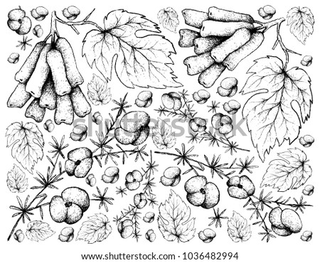 Berry Fruit Illustration Wallpaper Background Hand Stock Vector