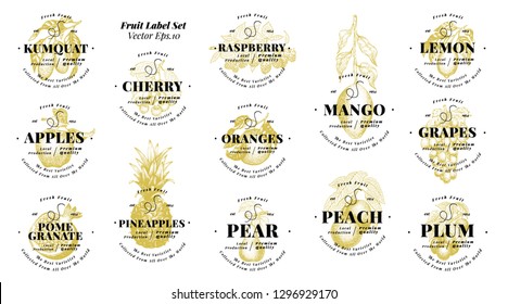 Berry and fruit labels set. Retro style design. Hand drawn vector illustrations. Set templates price tags for shops and markets of organic vegetarian food. Hand drawn nature objects.