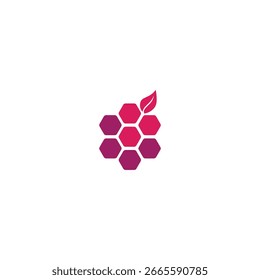 Berry fruit logo icon flat vector design