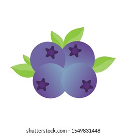 Berry fruit pattern.Cute fresh blueberry with green leaf isolated on white background.Design for web flat icon ,Mobile logo ,Cartoon fruits.Summer concept.