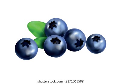 Berry fruit realistic composition with isolated colorful images of berries with ripe leaves vector illustration