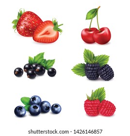 Forest Berry Sweet Fruit Realistic Illustration Stock Vector (Royalty ...