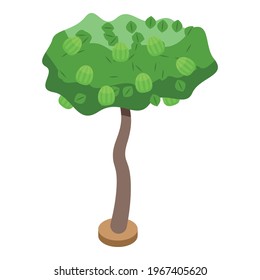 Berry fruit tree icon. Isometric of Berry fruit tree vector icon for web design isolated on white background