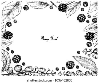 Berry Fruits, Illustration Frame of Hand Drawn Sketch American Beautyberry or Callicarpa Americana and American Pokeweed or Simply Pokeweed Fruits Isolated on White Background.