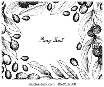 Berry Fruits, Illustration Frame of Hand Drawn Sketch Fresh Ceylon Gooseberries and Brazil Plum, Imbu, Umbu and Spondias Tuberosa Fruits Isolated on White Background.

