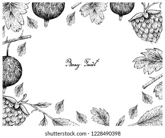 Berry Fruits, Illustration Frame of Hand Drawn Sketch Fresh Gooseberries and Golden Raspberries Isolated on White Background. 