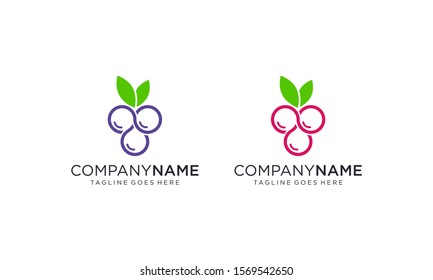 Berry fruits logo designs concept