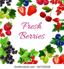 Berry fruits poster. Blueberry or bilberry, hurtleberry or huckleberry, currant and cherry, strawberry and gooseberry, raspberries. Agriculture or harvest, farming or vegan theme.