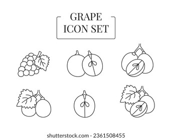 Berry Grapes whole and half, cut into slices, set of line icons in vector