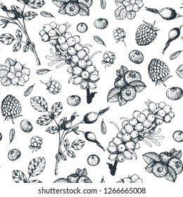 Berry hand drawn seamless pattern. Hand drawn sketch vector illustration with sea buckthorn, blueberry, raspberries, cankerberry.  Food design template with berry