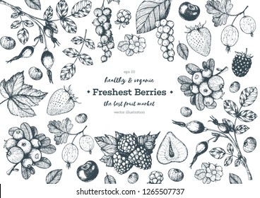 Berry  hand drawn, vector illustration frame. Hand drawn sketch illustration with currant, cranberry, blackberry, cherry, gooseberry, raspberry, strawberry. Healthy food design template with berry 