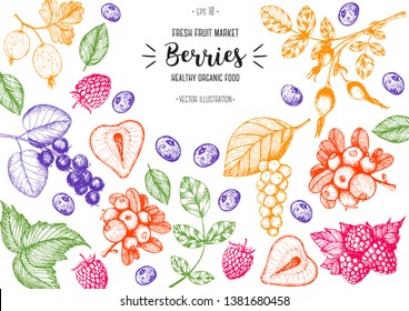 Berry hand drawn vector illustration frame. Hand drawn sketch illustration with strawberry, cranberry, briar berry, shadberry, blackberry, gooseberry Healthy food design template with berry.