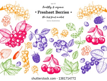 Berry hand drawn vector illustration frame. Hand drawn sketch illustration with sea buckthorn, goji berries, cloudberry, blueberry, strawberry. Healthy food design template with berry.