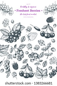Berry hand drawn vector illustration frame. Hand drawn sketch illustration with sea buckthorn, goji berries, cloudberry, blueberry, strawberry. Healthy food design template with berry.