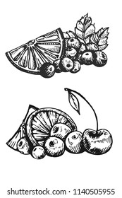 Berry Hand drawn vector set. Fruit botany illustration. Berries engraving doodle sketch etch line. Currant, raspberry, strawberry, blueberry, cherry on white background. Dessert ingredient
