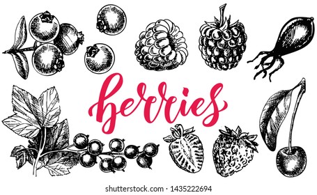 Berry Hand drawn vector set. Fruit botany illustration. Berries sketch. Currant, raspberry, strawberry, blueberry, cherry on white background. Dessert ingredient