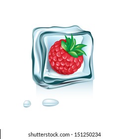 berry in ice cube melting isolated