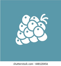 berry icon