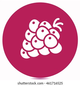 icono de berry