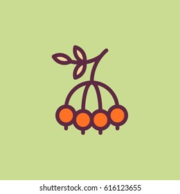 Berry icon