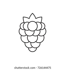 berry icon