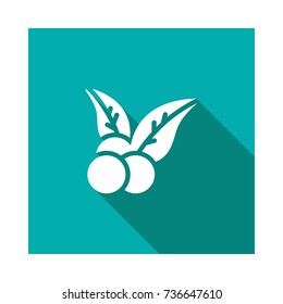 berry icon
