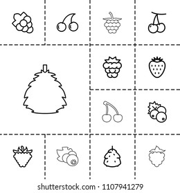 Berry Icon. Collection Of 13 Berry Outline Icons Such As Berry, Currant, Cherry, Mulberry, Cherry. Editable Berry Icons For Web And Mobile.