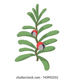 Berry icon. Isometric illustration of berry vector icon for web