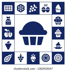  berry icon set. 17 filled berry icons.  Simple modern icons about  - Cupcake, Strawberry, Plum, Grapes, Muffin, Papaya, Berry, Kiwi