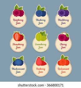 Berry-Icon-Set. Etiketten mit Beeren. Flacher Stil, Vektorgrafik.