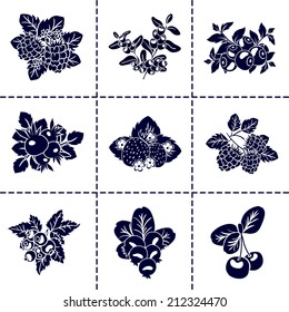 Berry icons
