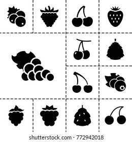 Berry icons. set of 13 editable filled berry icons such as berry, currant, cherry, mulberry, cherry, raspberry, strawberry